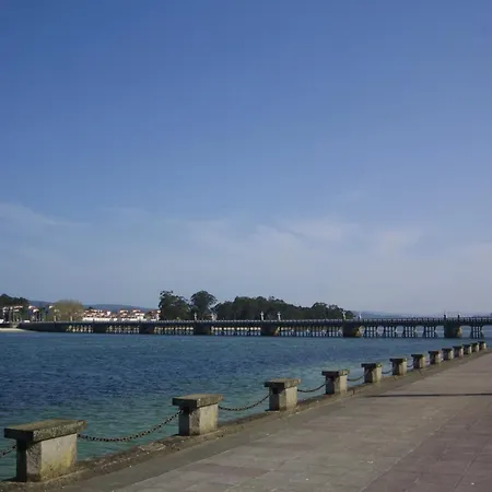 Estrela De Mar